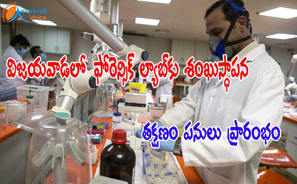 forensic lab vijayawada 23072016