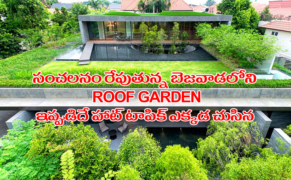 roof garden vja 03042016