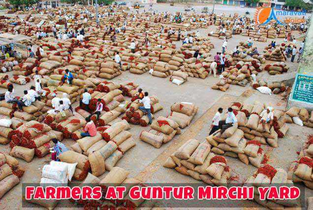 Guntur Mirchi Yard Business