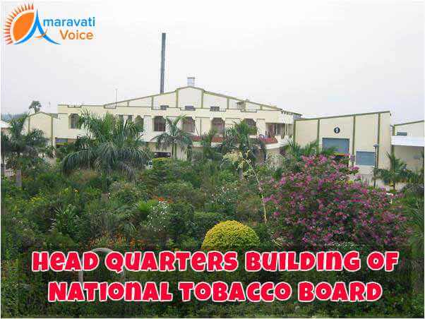 Head Quarters of National tobacoo Board Guntur