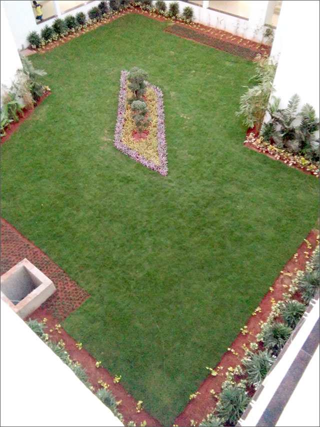 greenary in amaravati secretariat 1