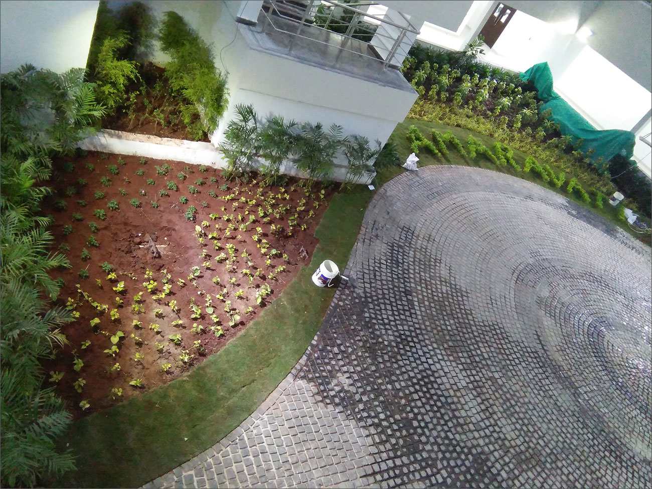greenary in amaravati secretariat 1