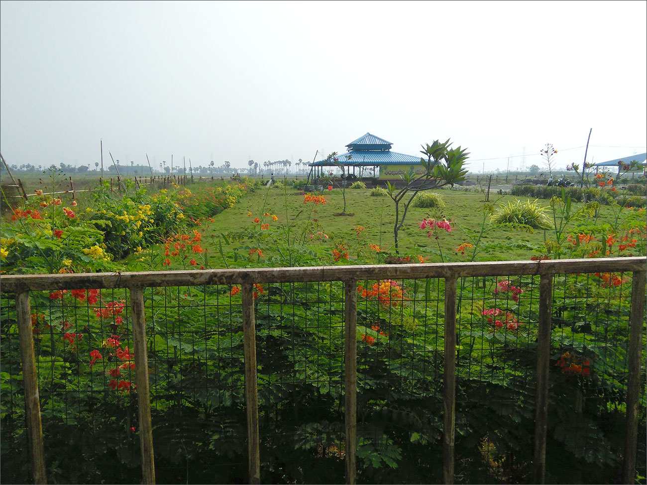greenary in amaravati secretariat 1