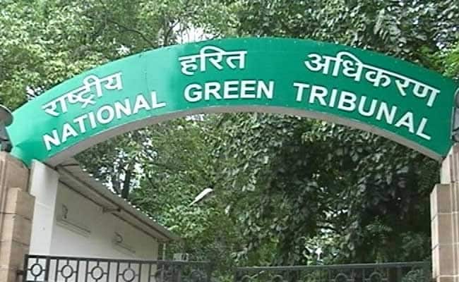 green tribunal 01062019 1