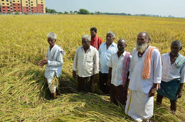 pattiseema 10112017 3