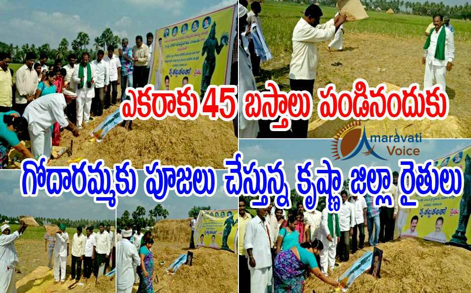 pattiseema benefits 03012017