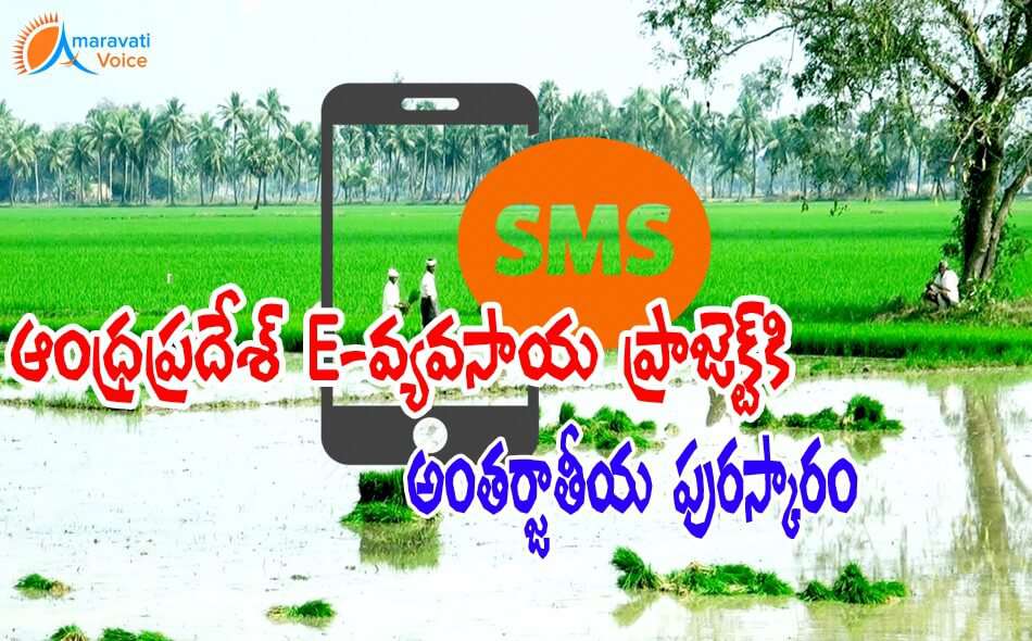 andhra pradesh farming award 05052016