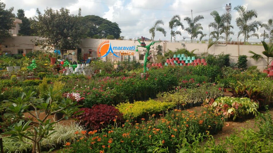 vijayawada bus stand nursery