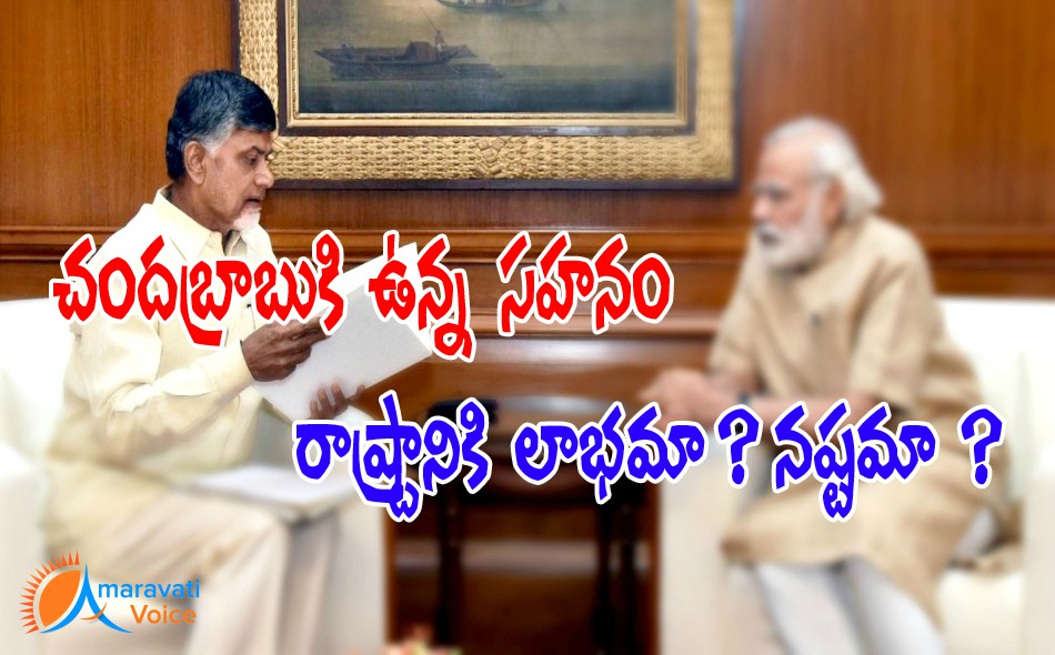 chandrababu naidu 18052016