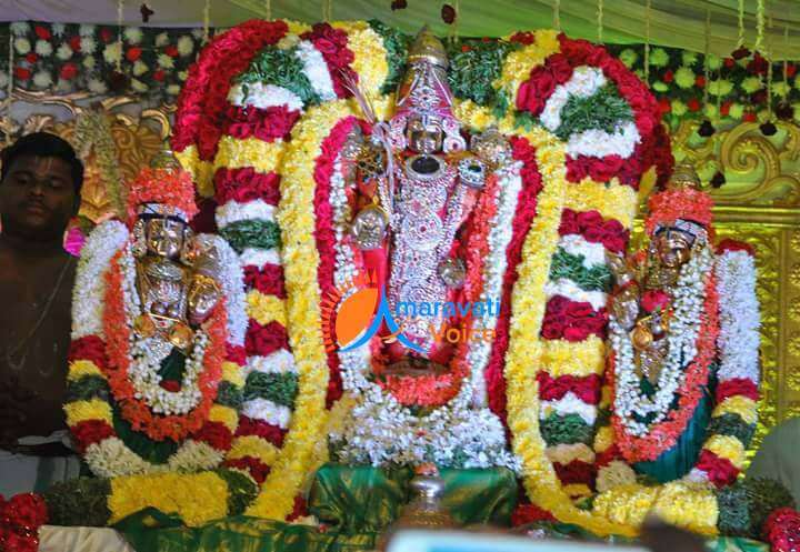 guntur srinivasa kalyanam 22022016 1