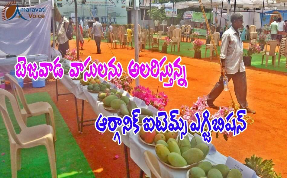 organic exhibition vijayawada 08052016