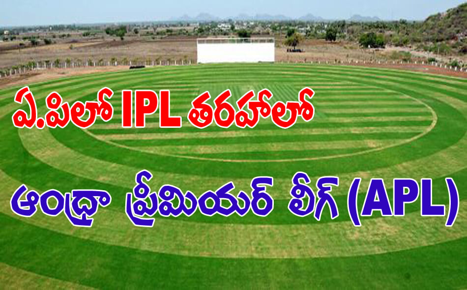 apl cricket league 08022016