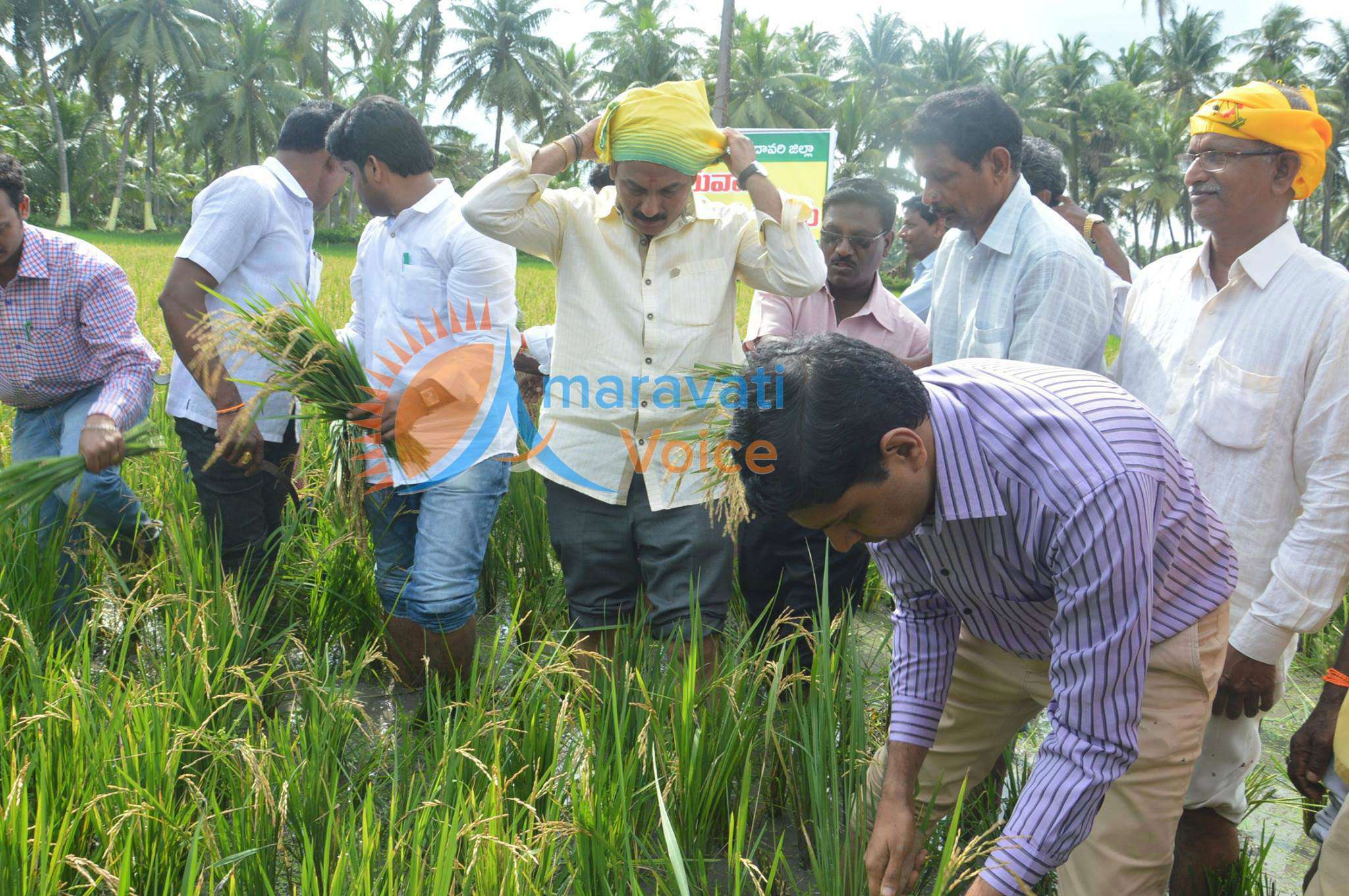 collector yeruvaka 17092016 2