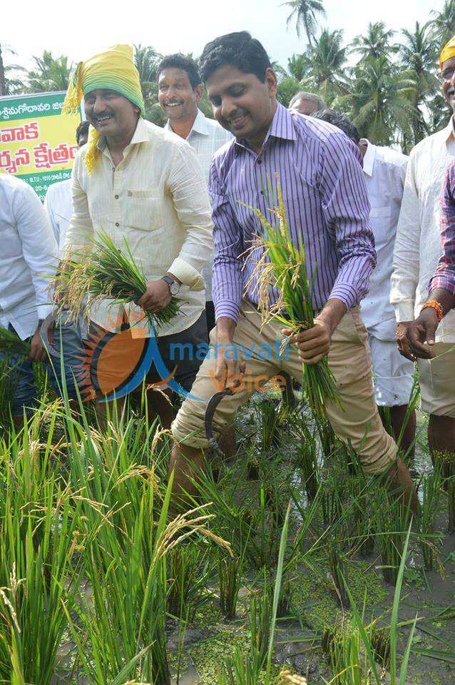 collector yeruvaka 17092016 3