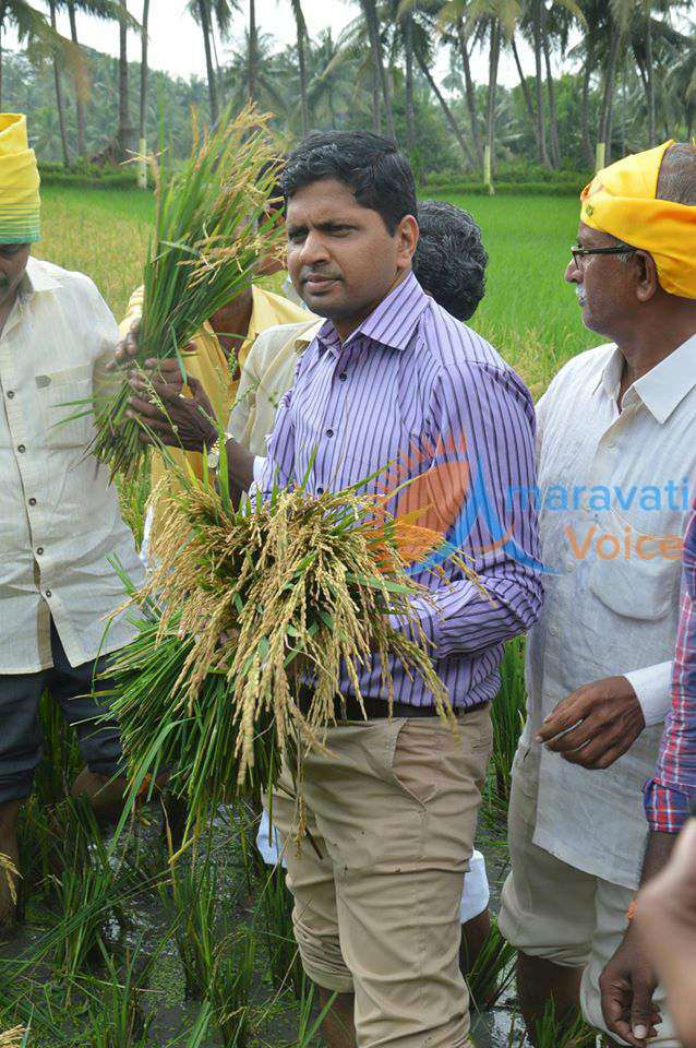 collector yeruvaka 17092016 4