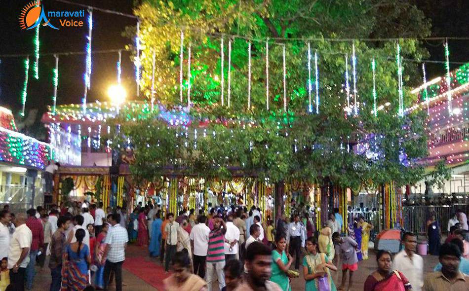 dasara lighting vijayawada 6