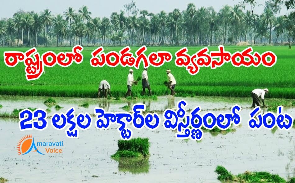 farming in andhra 08022016