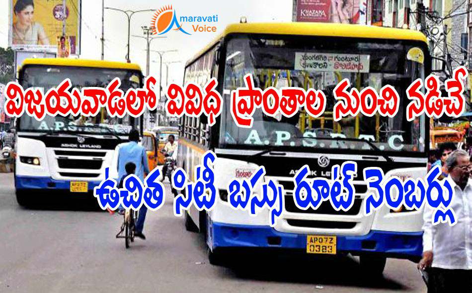 free bus pushkaralu 08072016