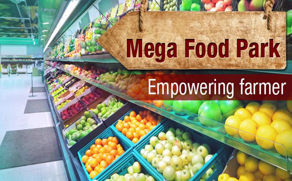 mega food park nellore 01042017