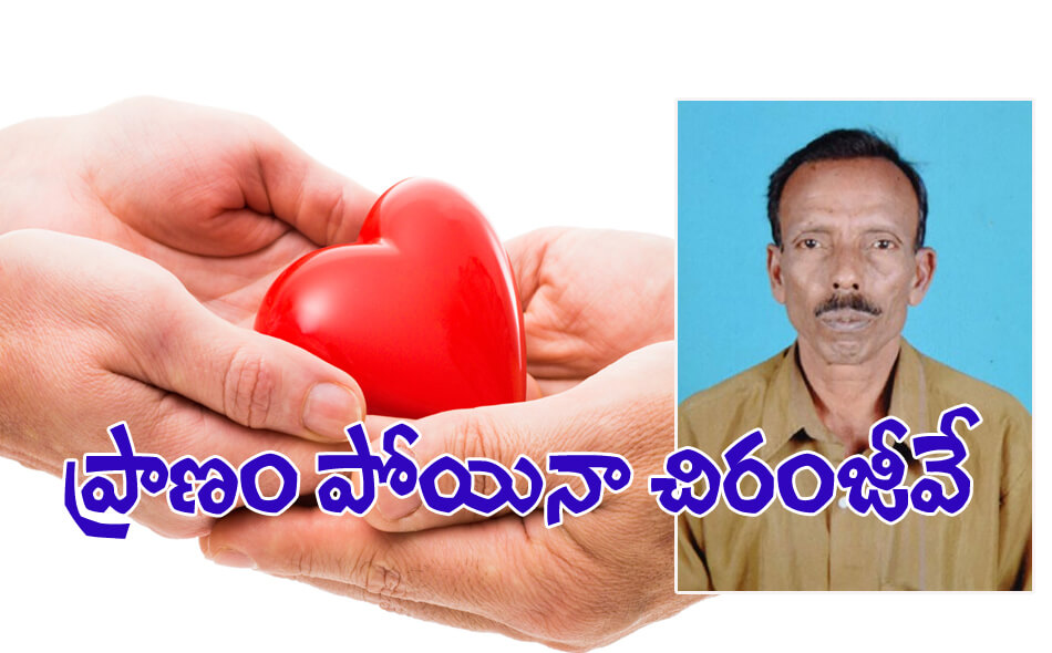 organ donation 08012016