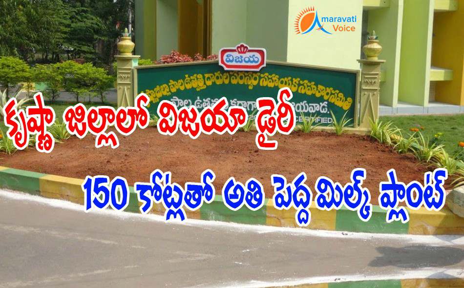 vijaya dairy plant krishna district 09042016