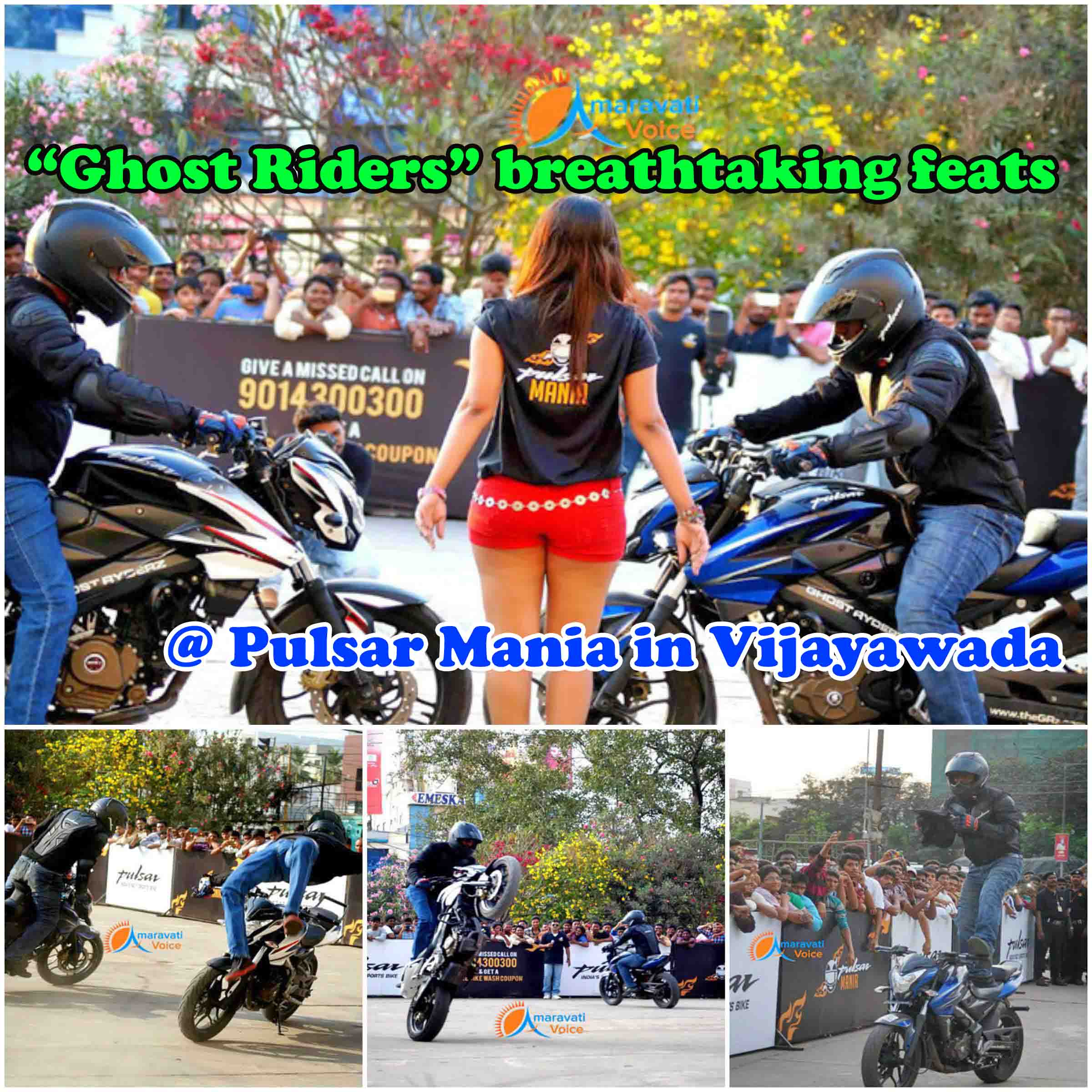 pulsar mania 27022016 1