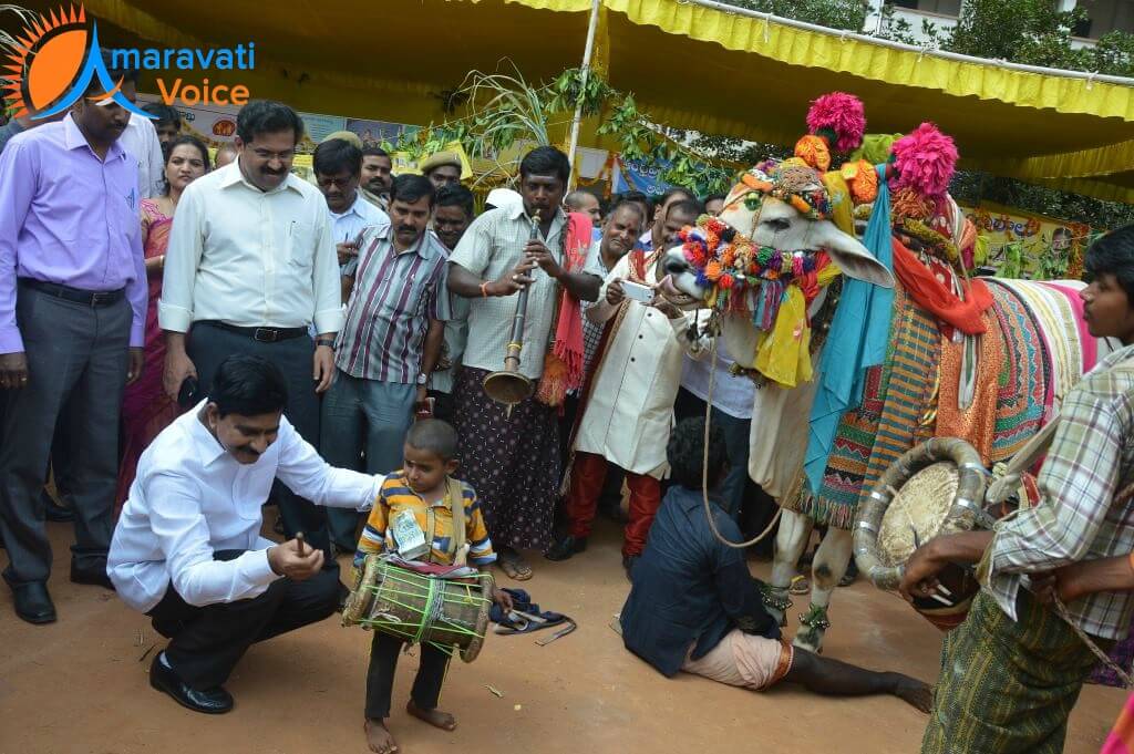 sankranti sambaralu 4