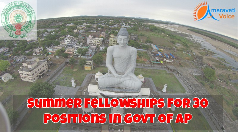 summer fellowships 21032016