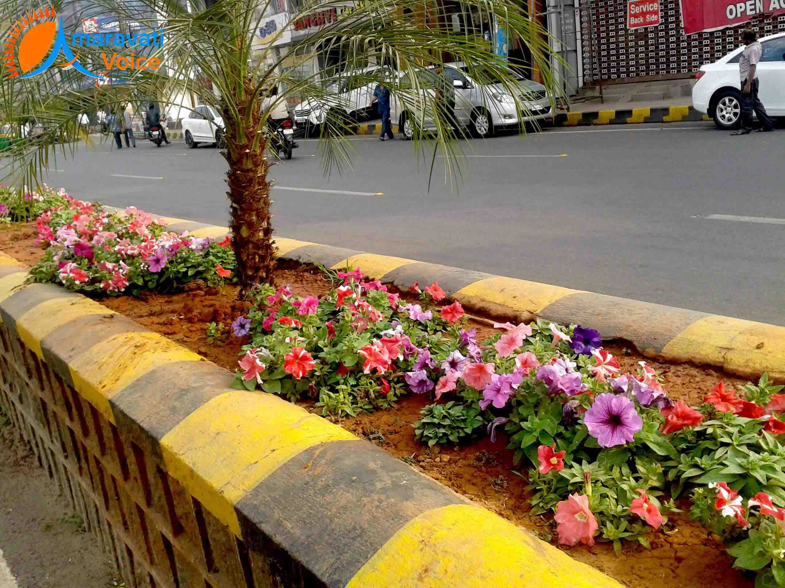 vijayawada beautification 1