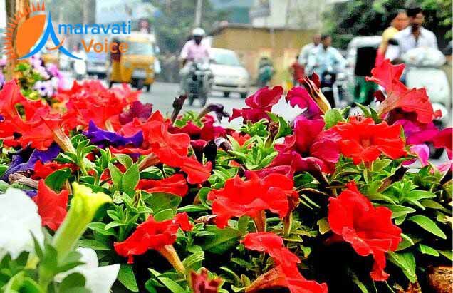 vijayawada beautification 3