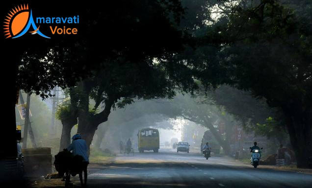 vijayawada fog 22012016