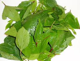 Sorrel leaves Vegetable Price