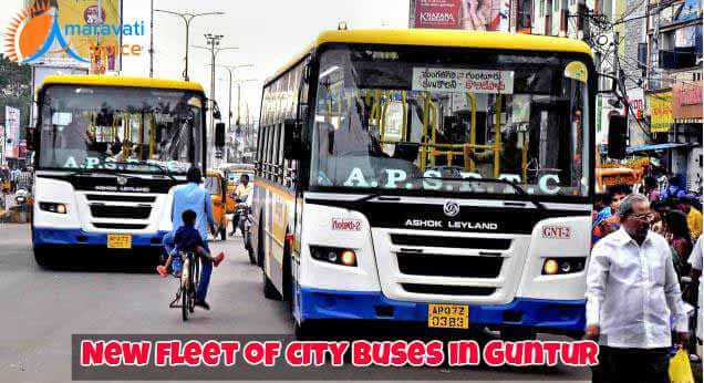 Guntur City Bus