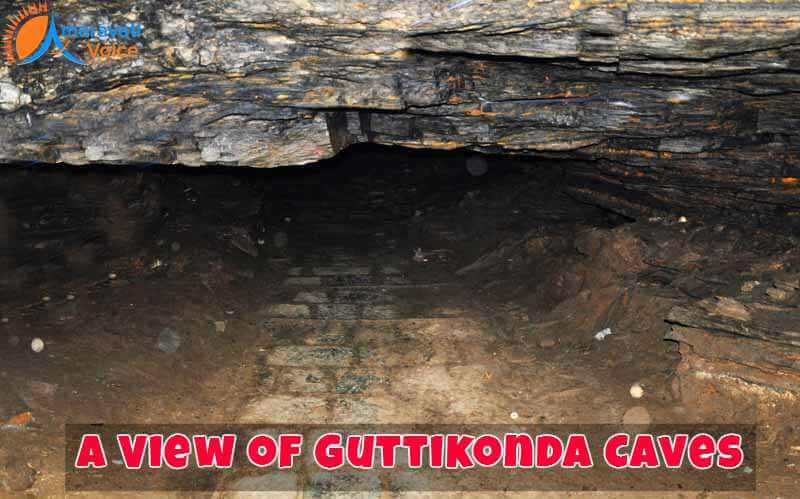 Guthikonda Caves, Guntur