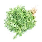Leafy Veg. Vegetable Price