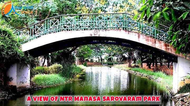 Inside NTR Manasa Sarovaram Park Guntur