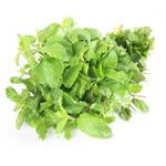 Mint leaves Vegetable Price