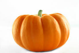 Pumpkin Vegetable Price