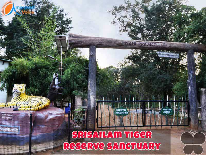 Srisailam Wildlife Santchury