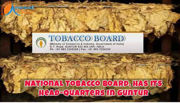 Guntur Tobacoo Barod